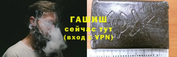 индика Балахна