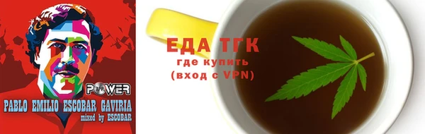 индика Балахна