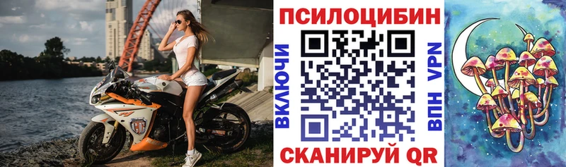 kraken ссылки  купить   мориарти как зайти  Галлюциногенные грибы прущие грибы  Жуковский 